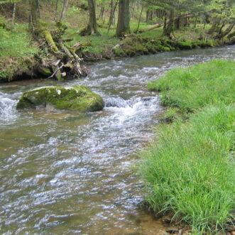 Streams such as this one are federally regulated under the Navigable Waters Rule.